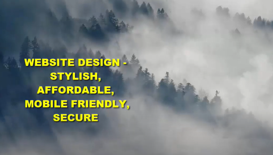 Gold Coast Local Business Websites 1