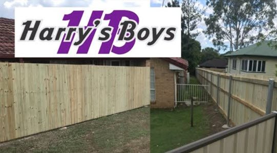 Harry’s Boys